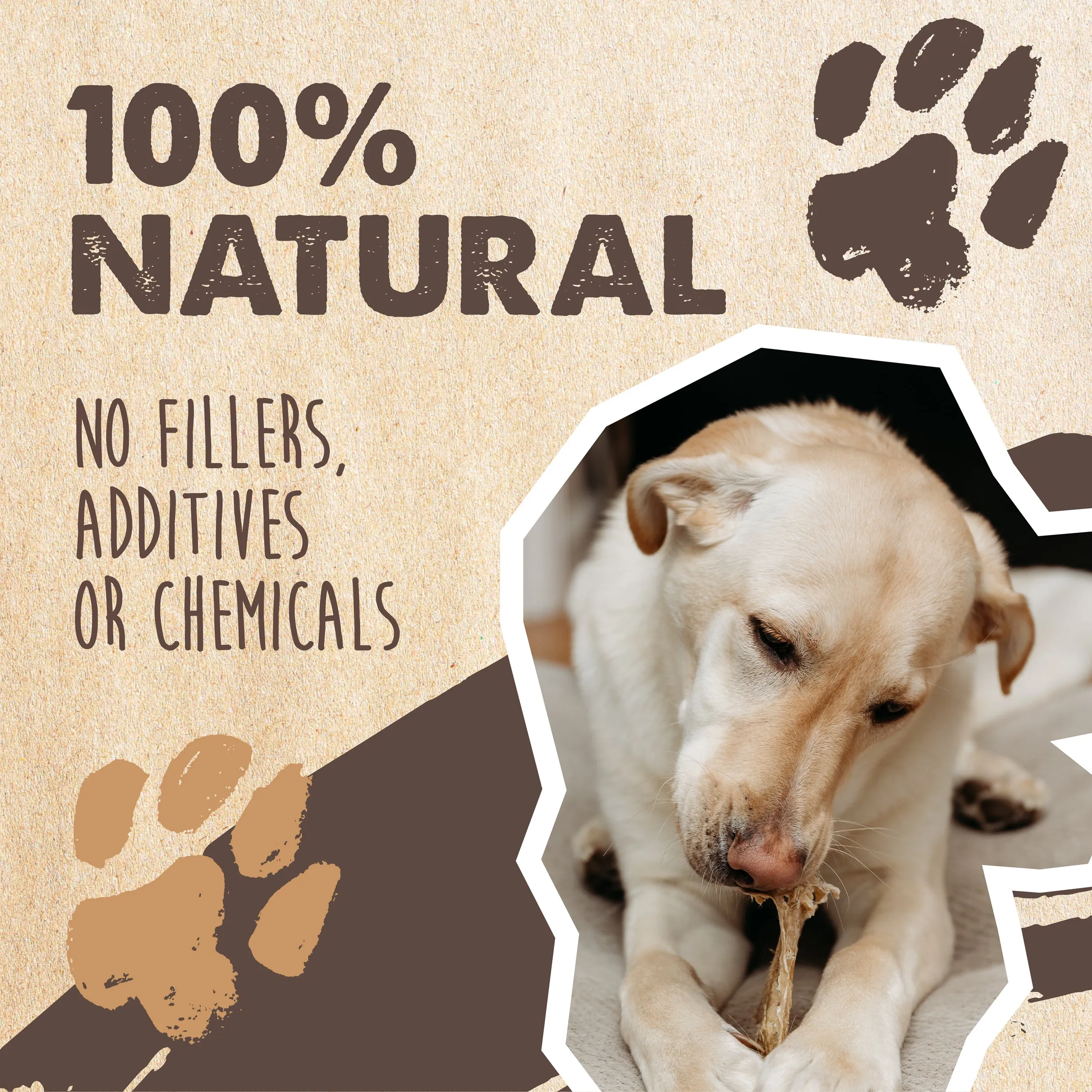 Grass-Fed Cow Ear Chews for Dogs - All-Natural & Delicious