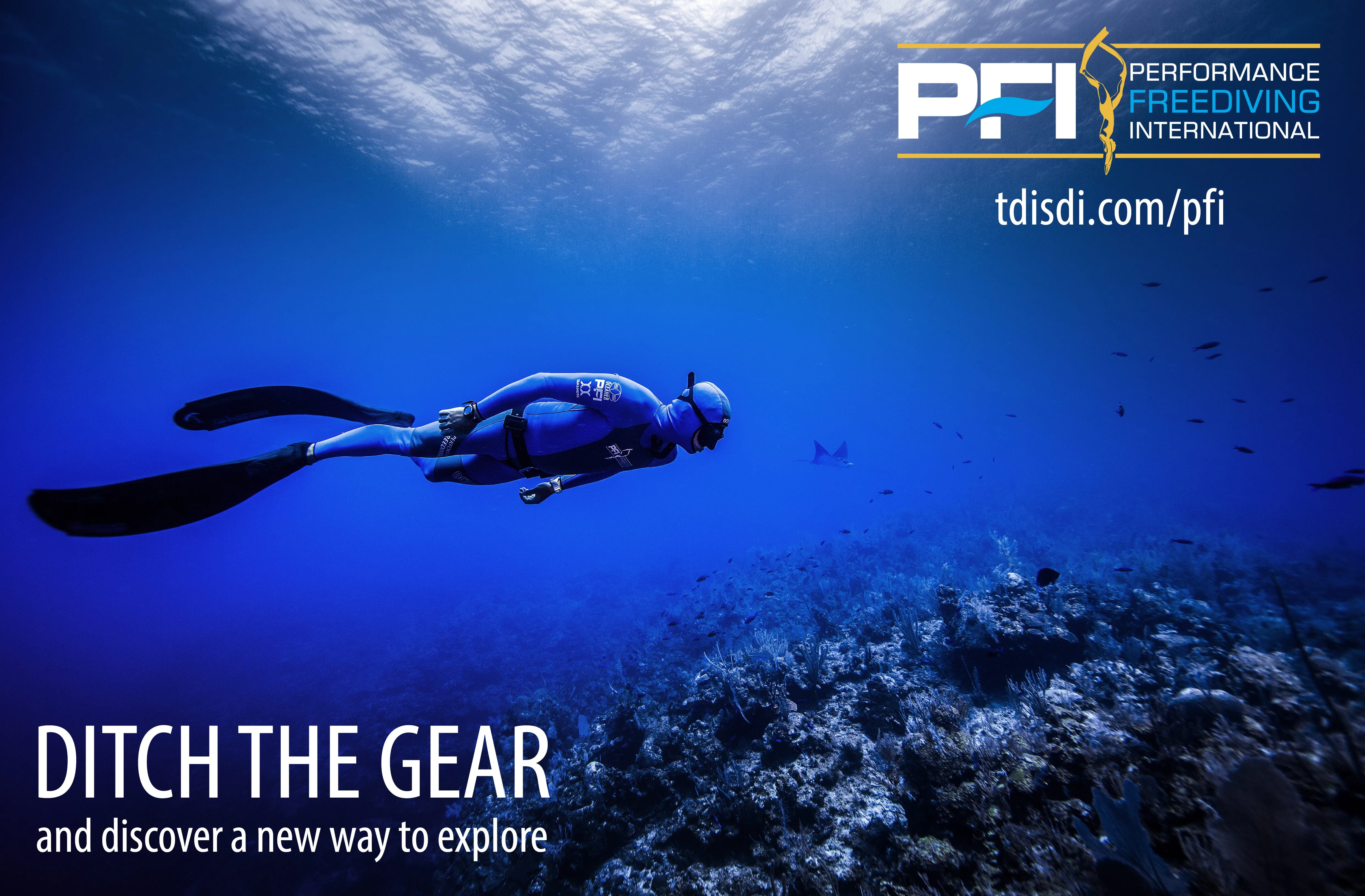 PFI Basic Freediver