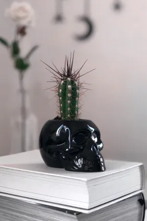 Skull Planter [B]